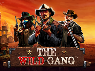 The Wild Gang